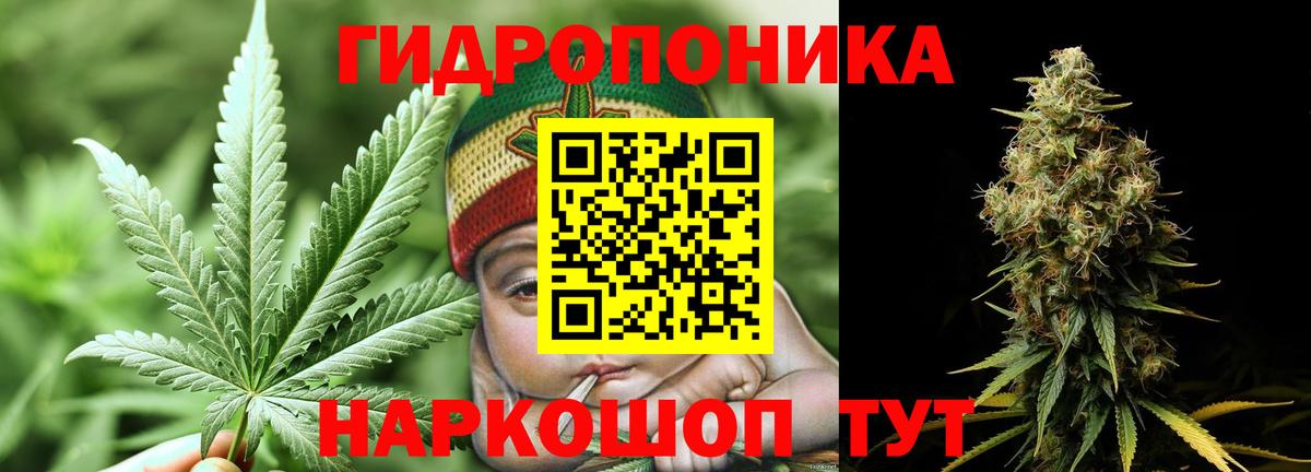 Каннабис SATIVA & INDICA  Вход с VPN  Конопля Bruce Banner  Шишки марихуана OG Kush  МАРИХУАНА SATIVA & INDICA  Грязи 